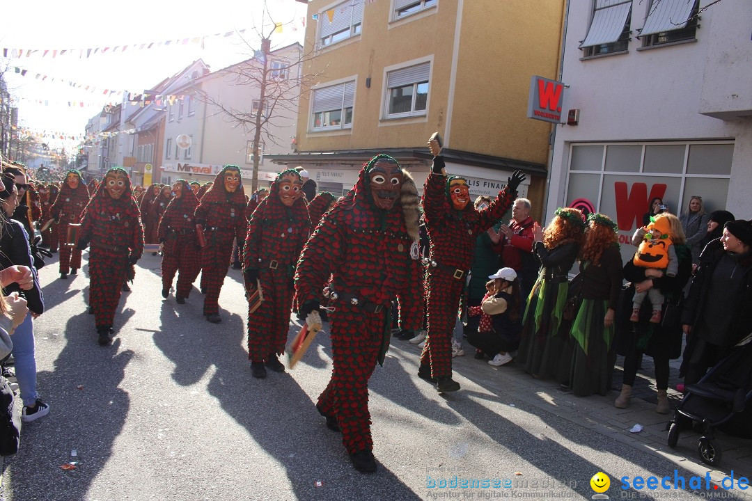 Fasnetsumzug: Tettnang am Bodensee, 13.02.2024