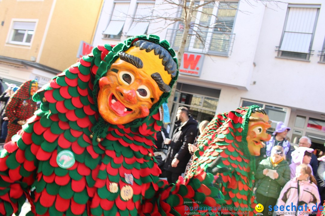 Fasnetsumzug: Tettnang am Bodensee, 13.02.2024