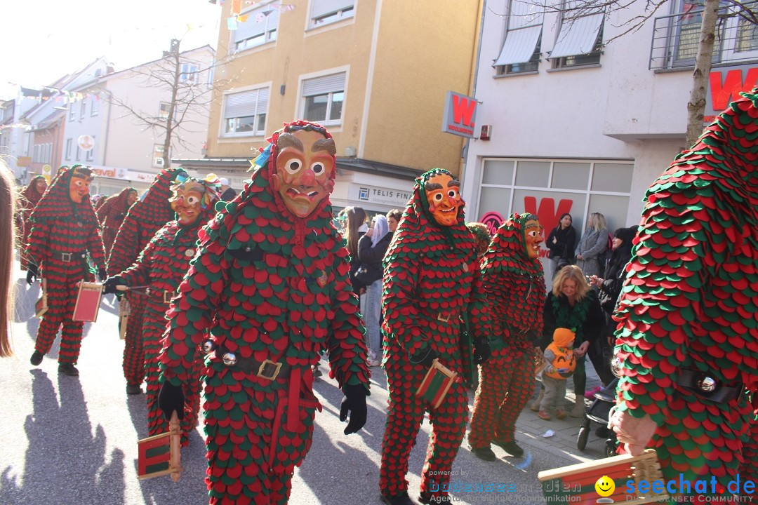 Fasnetsumzug: Tettnang am Bodensee, 13.02.2024