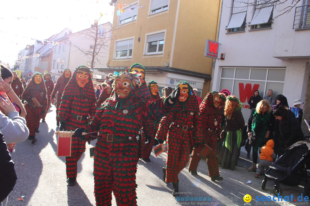 Fasnetsumzug: Tettnang am Bodensee, 13.02.2024