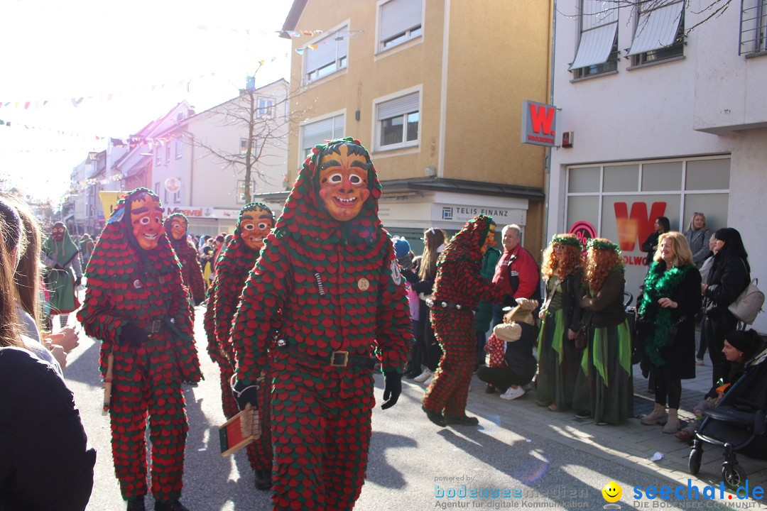 Fasnetsumzug: Tettnang am Bodensee, 13.02.2024