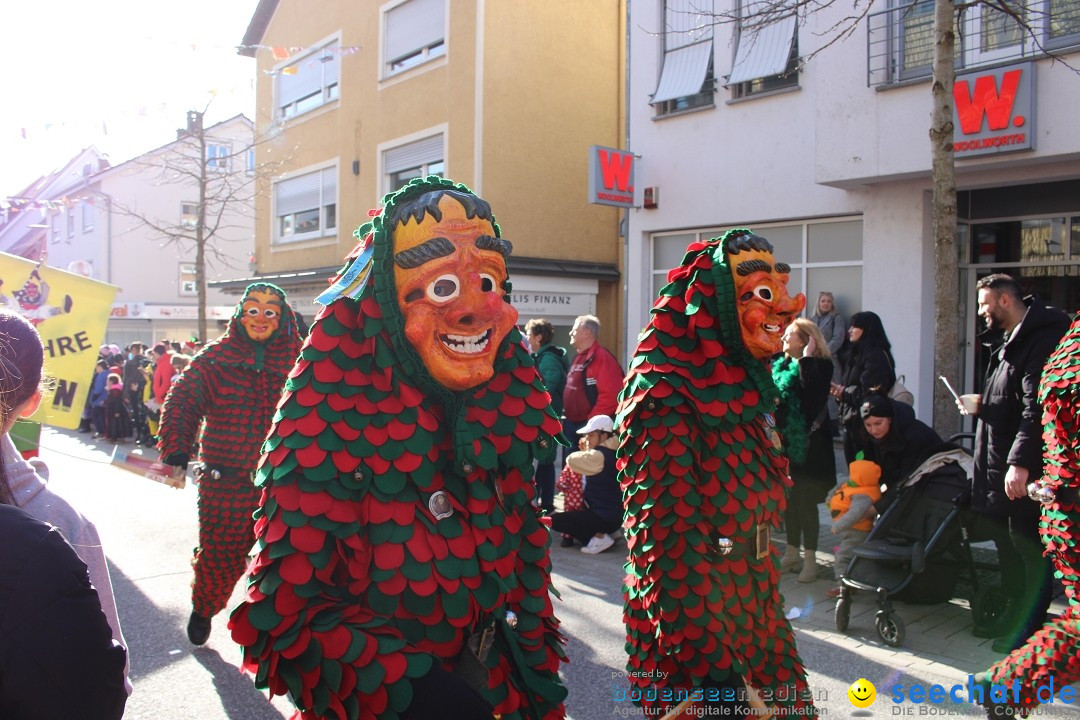 Fasnetsumzug: Tettnang am Bodensee, 13.02.2024