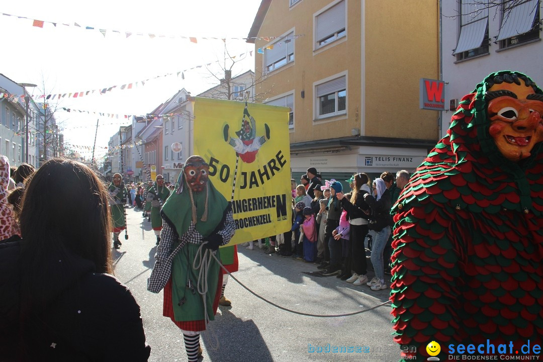 Fasnetsumzug: Tettnang am Bodensee, 13.02.2024