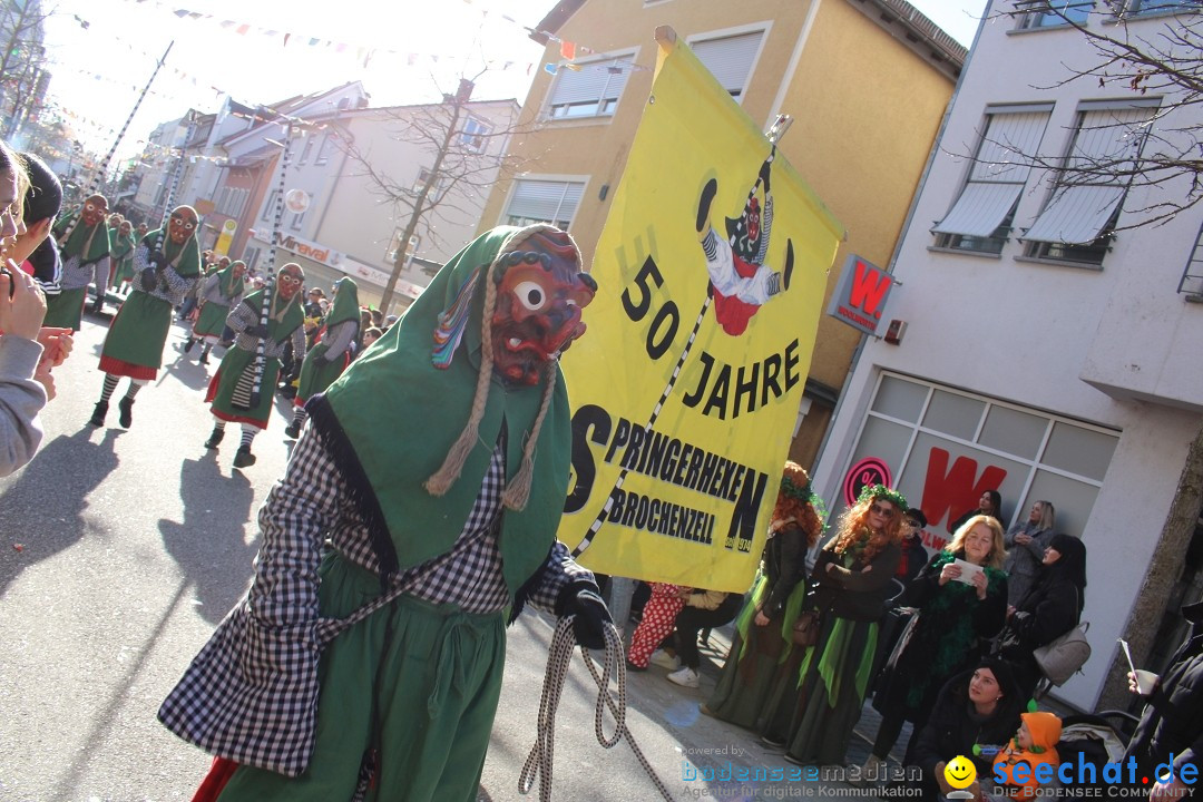 Fasnetsumzug: Tettnang am Bodensee, 13.02.2024