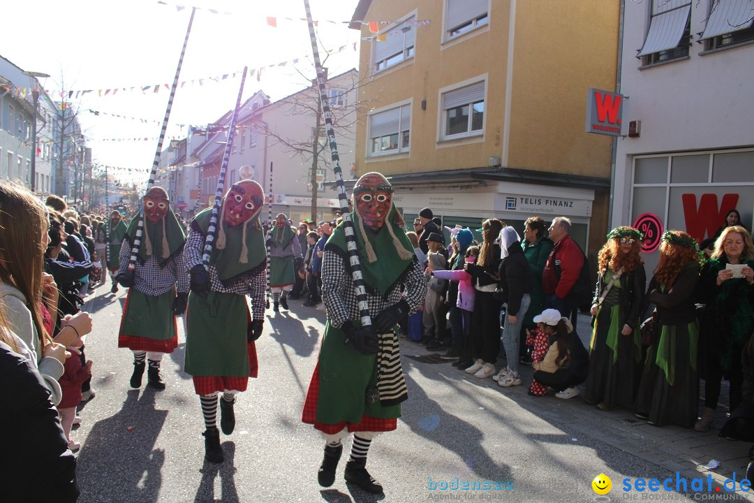 Fasnetsumzug: Tettnang am Bodensee, 13.02.2024