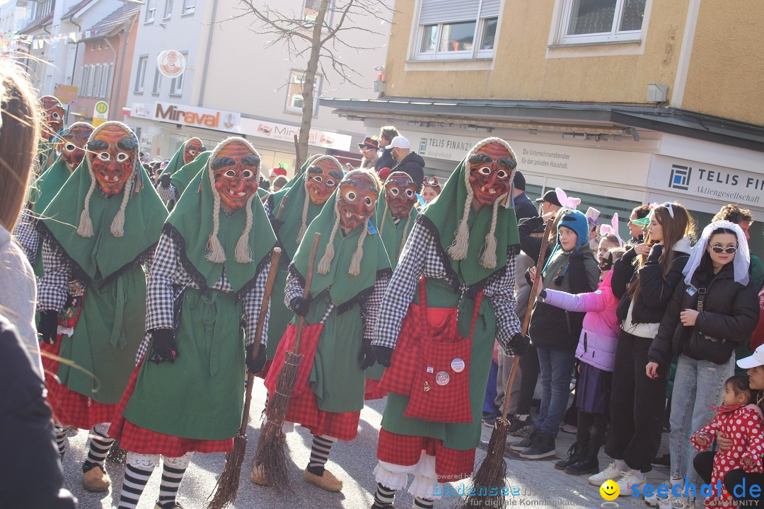 Fasnetsumzug: Tettnang am Bodensee, 13.02.2024