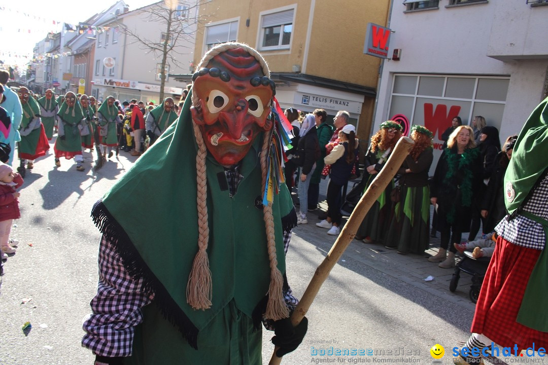 Fasnetsumzug: Tettnang am Bodensee, 13.02.2024