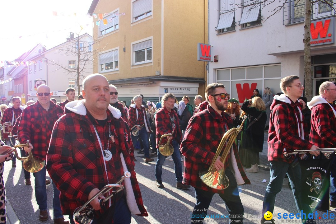 Fasnetsumzug: Tettnang am Bodensee, 13.02.2024