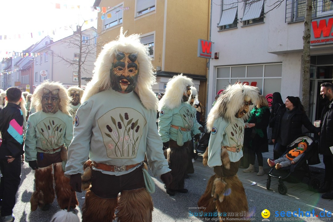 Fasnetsumzug: Tettnang am Bodensee, 13.02.2024