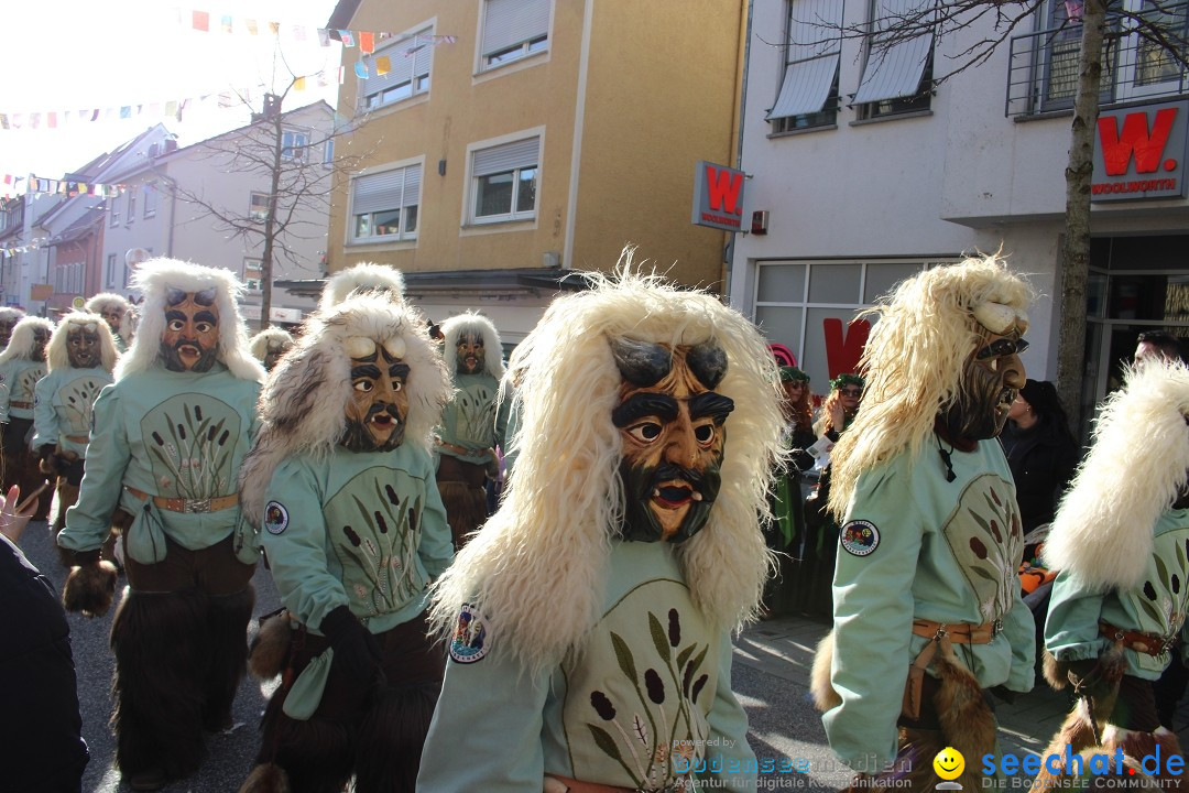 Fasnetsumzug: Tettnang am Bodensee, 13.02.2024