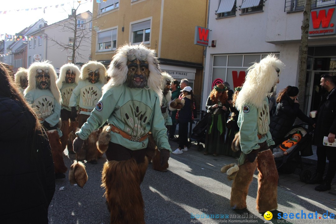 Fasnetsumzug: Tettnang am Bodensee, 13.02.2024