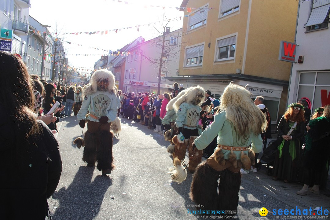 Fasnetsumzug: Tettnang am Bodensee, 13.02.2024