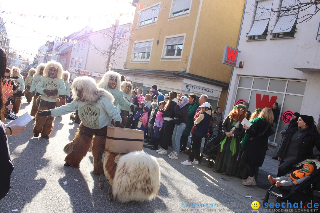 Fasnetsumzug: Tettnang am Bodensee, 13.02.2024