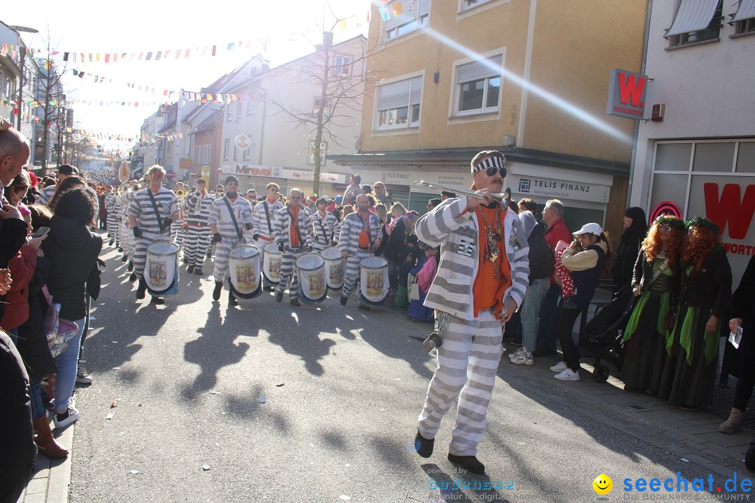 Fasnetsumzug: Tettnang am Bodensee, 13.02.2024