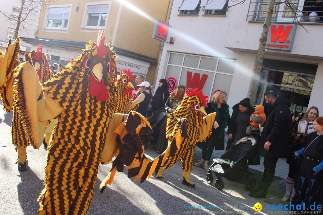 Fasnetsumzug: Tettnang am Bodensee, 13.02.2024