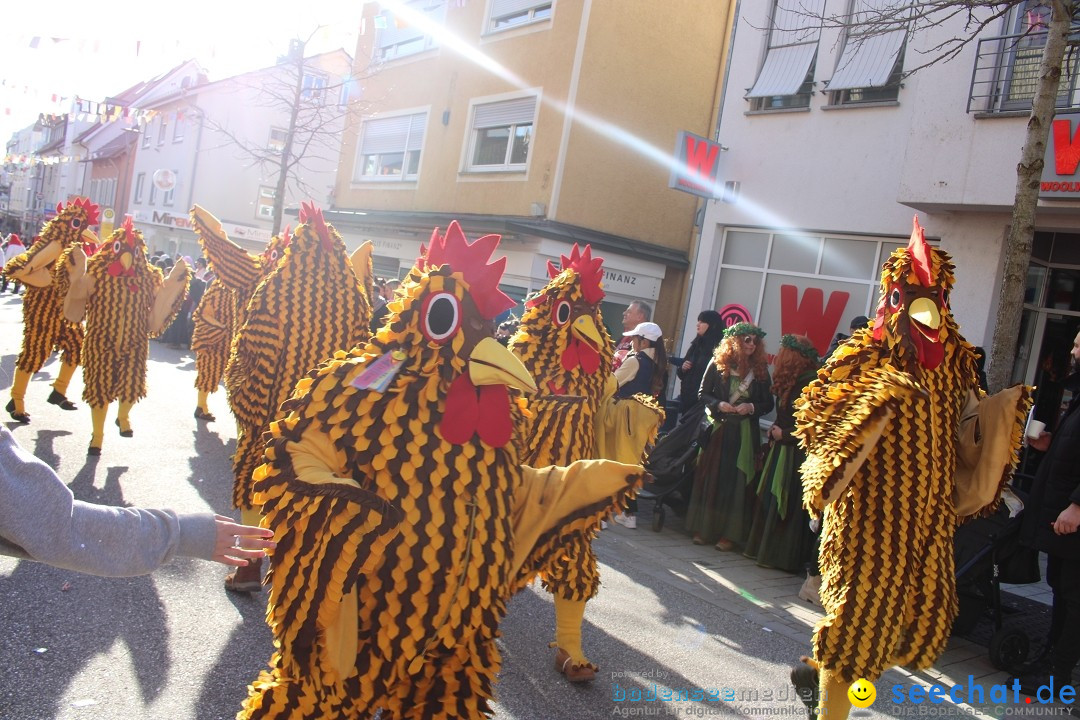 Fasnetsumzug: Tettnang am Bodensee, 13.02.2024