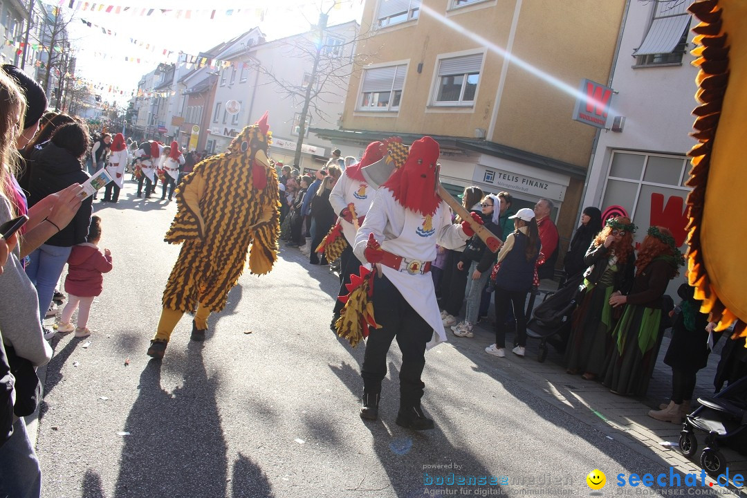 Fasnetsumzug: Tettnang am Bodensee, 13.02.2024