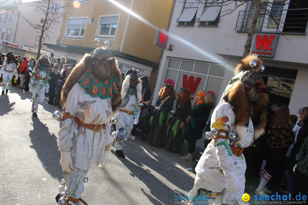 Fasnetsumzug: Tettnang am Bodensee, 13.02.2024