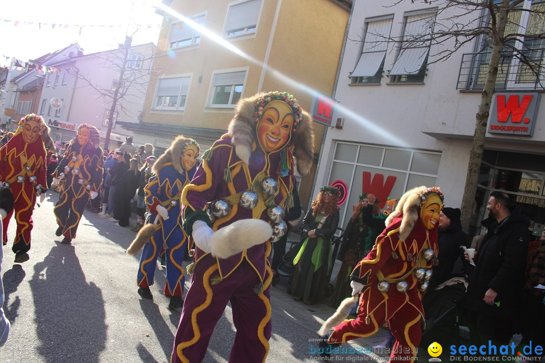 Fasnetsumzug: Tettnang am Bodensee, 13.02.2024