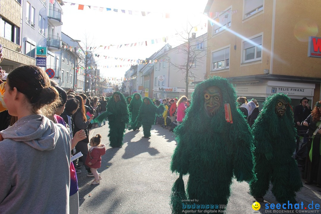 Fasnetsumzug: Tettnang am Bodensee, 13.02.2024