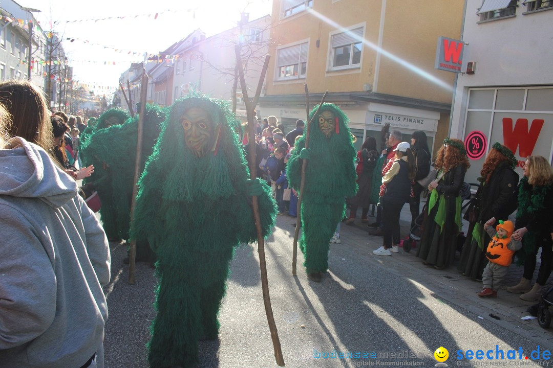 Fasnetsumzug: Tettnang am Bodensee, 13.02.2024