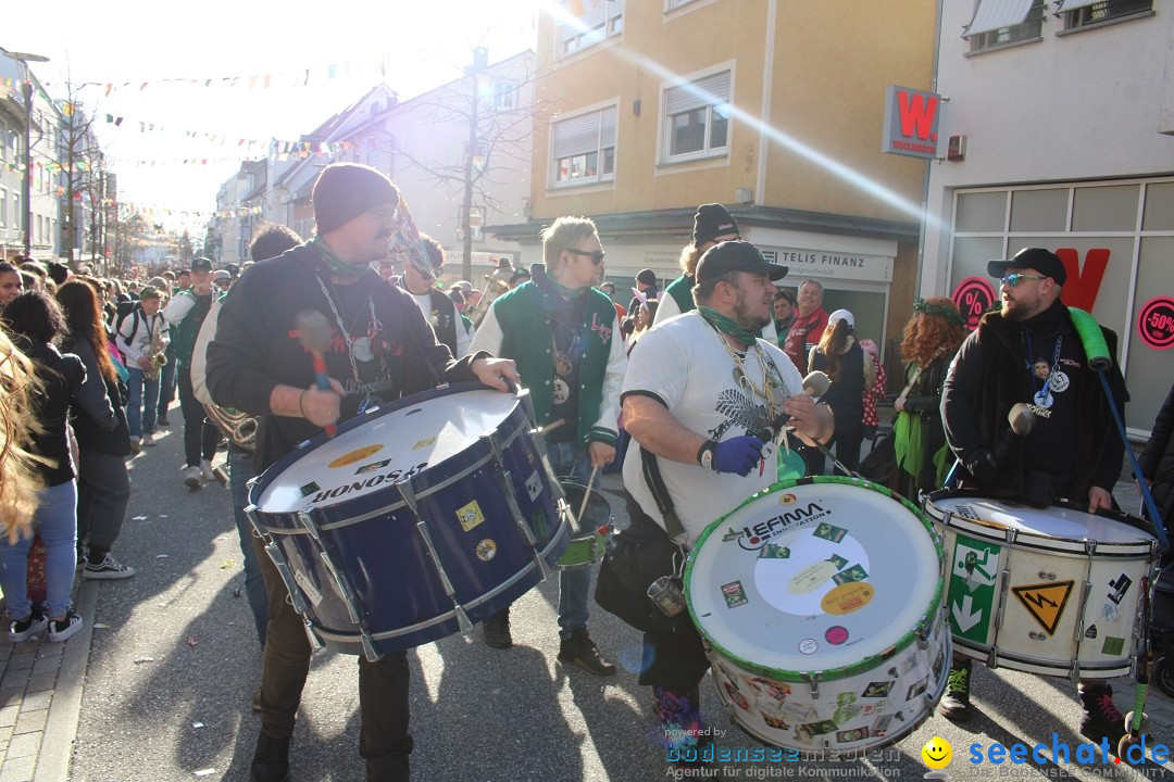 Fasnetsumzug: Tettnang am Bodensee, 13.02.2024