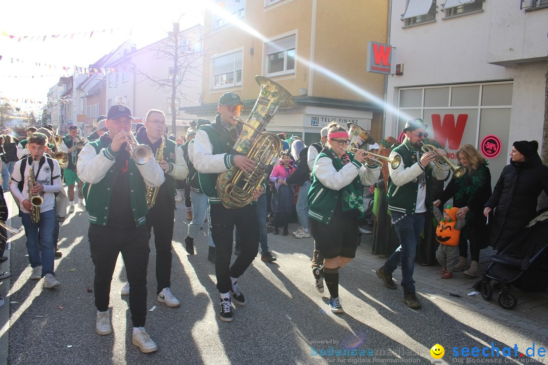 Fasnetsumzug: Tettnang am Bodensee, 13.02.2024