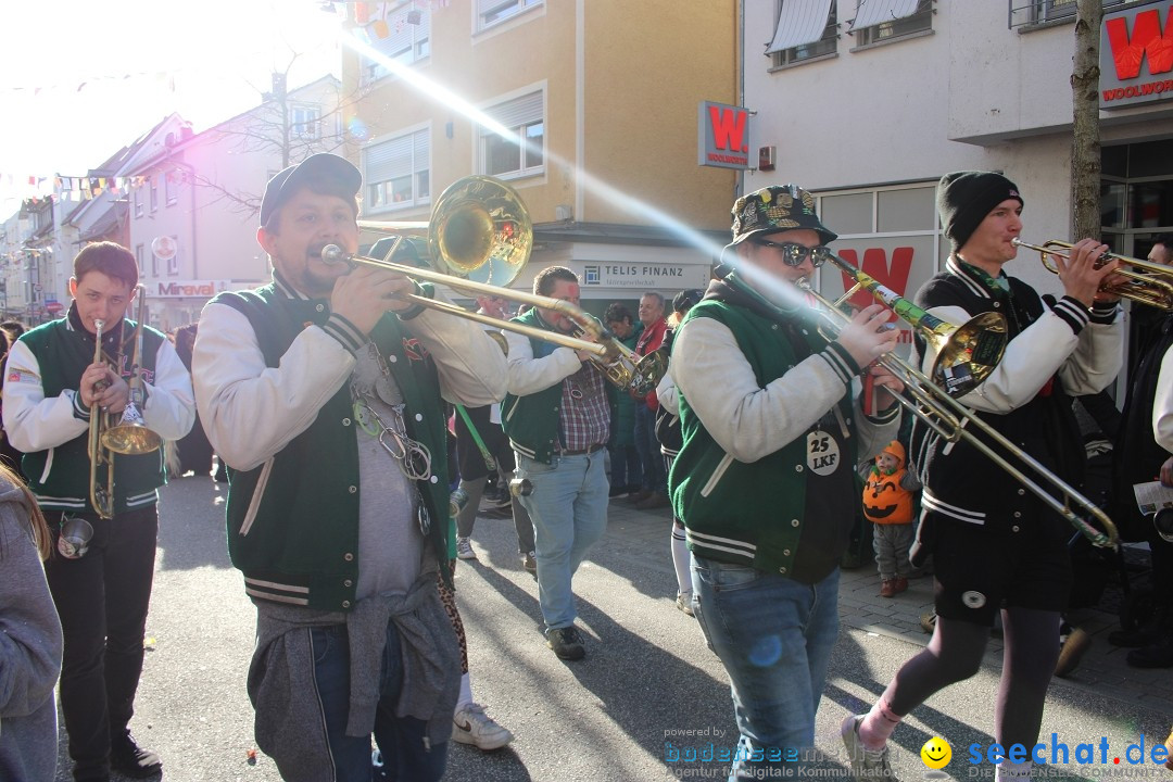 Fasnetsumzug: Tettnang am Bodensee, 13.02.2024