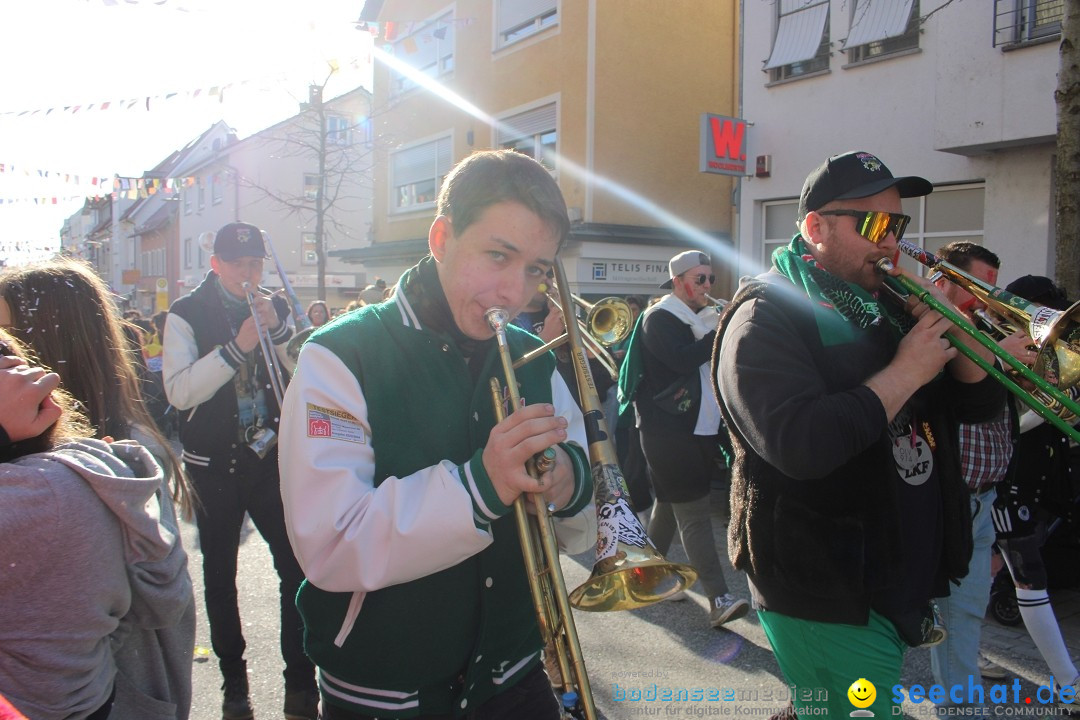 Fasnetsumzug: Tettnang am Bodensee, 13.02.2024