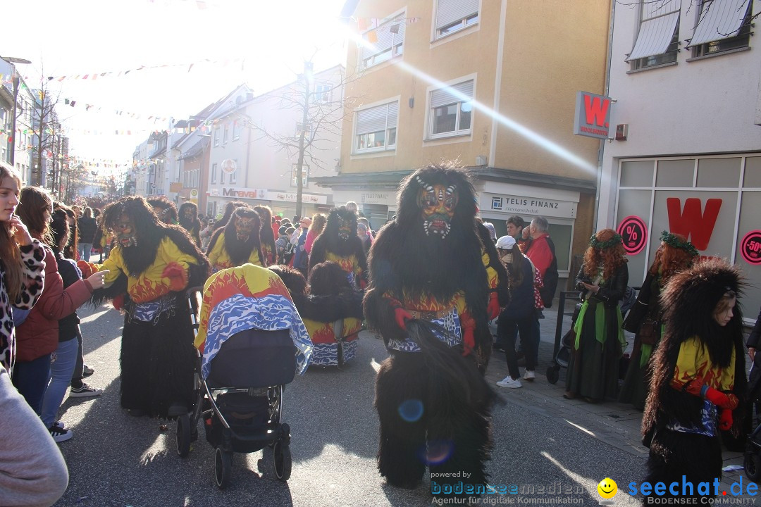 Fasnetsumzug: Tettnang am Bodensee, 13.02.2024