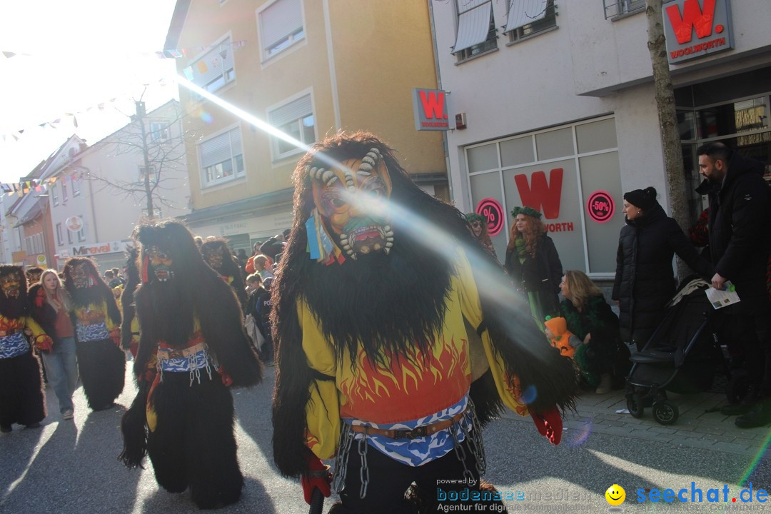 Fasnetsumzug: Tettnang am Bodensee, 13.02.2024