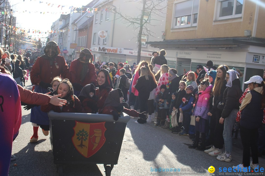 Fasnetsumzug: Tettnang am Bodensee, 13.02.2024