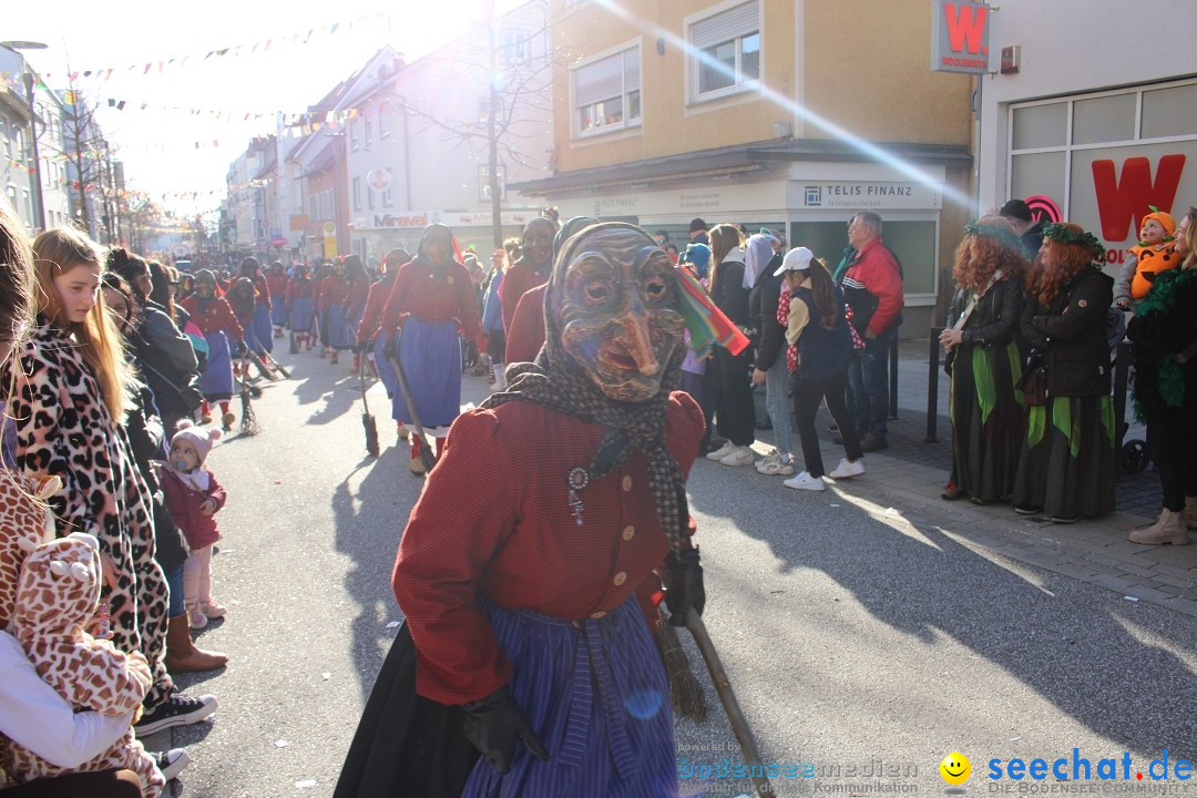 Fasnetsumzug: Tettnang am Bodensee, 13.02.2024