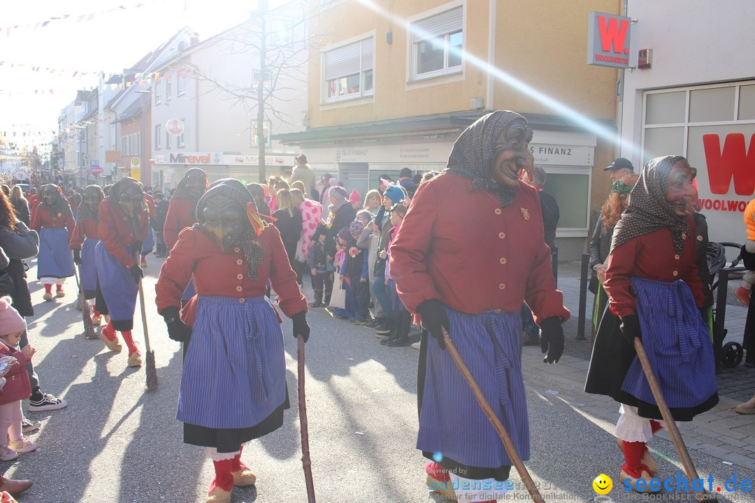 Fasnetsumzug: Tettnang am Bodensee, 13.02.2024