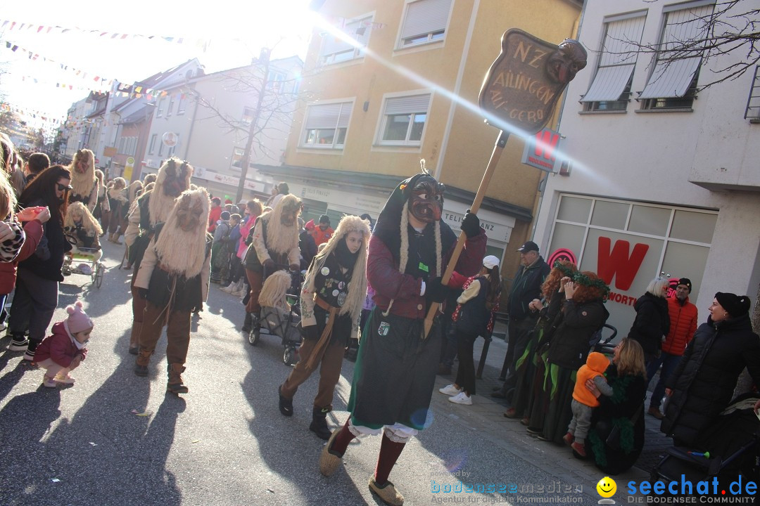 Fasnetsumzug: Tettnang am Bodensee, 13.02.2024