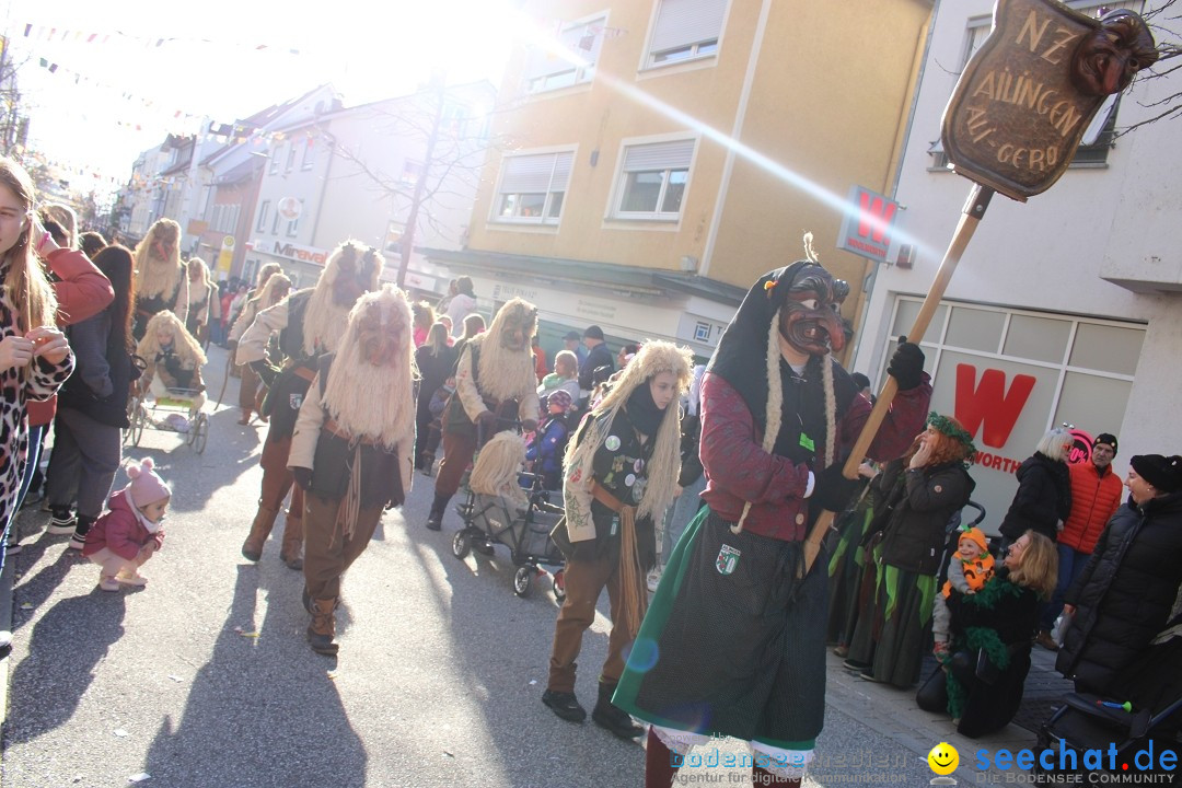 Fasnetsumzug: Tettnang am Bodensee, 13.02.2024