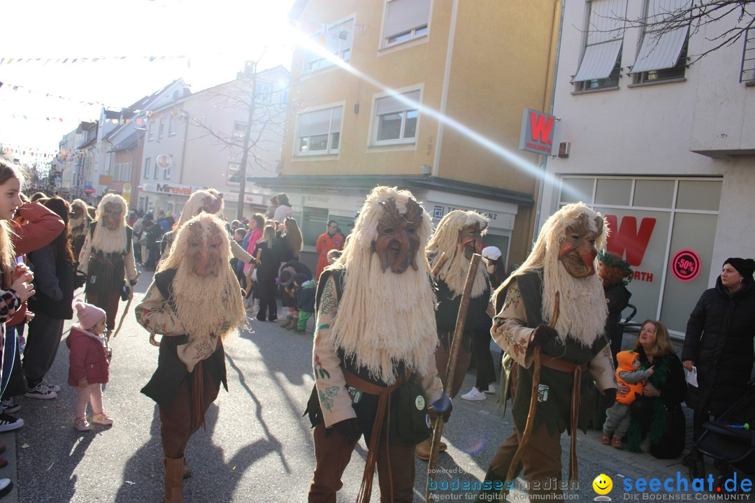 Fasnetsumzug: Tettnang am Bodensee, 13.02.2024