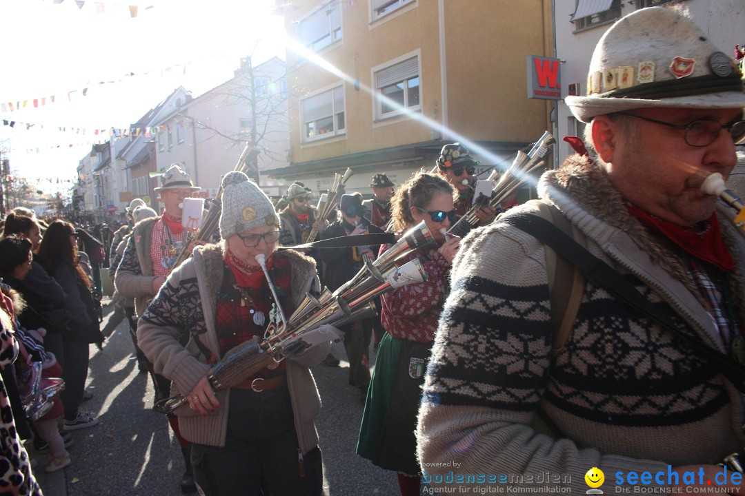 Fasnetsumzug: Tettnang am Bodensee, 13.02.2024