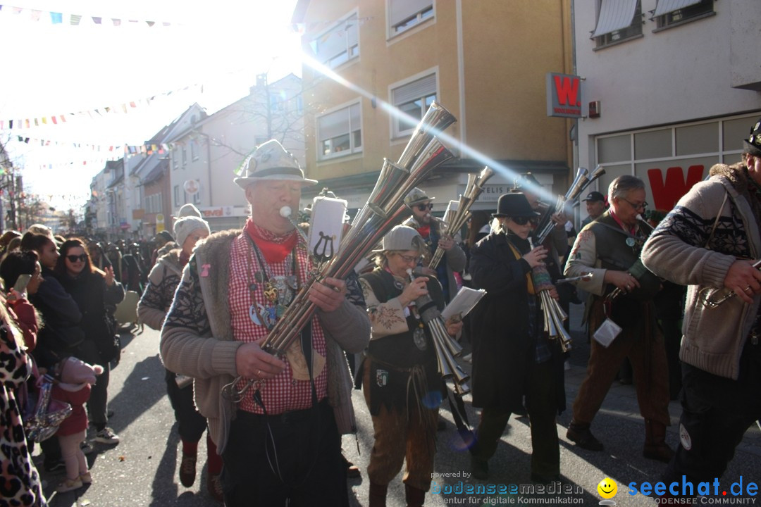 Fasnetsumzug: Tettnang am Bodensee, 13.02.2024