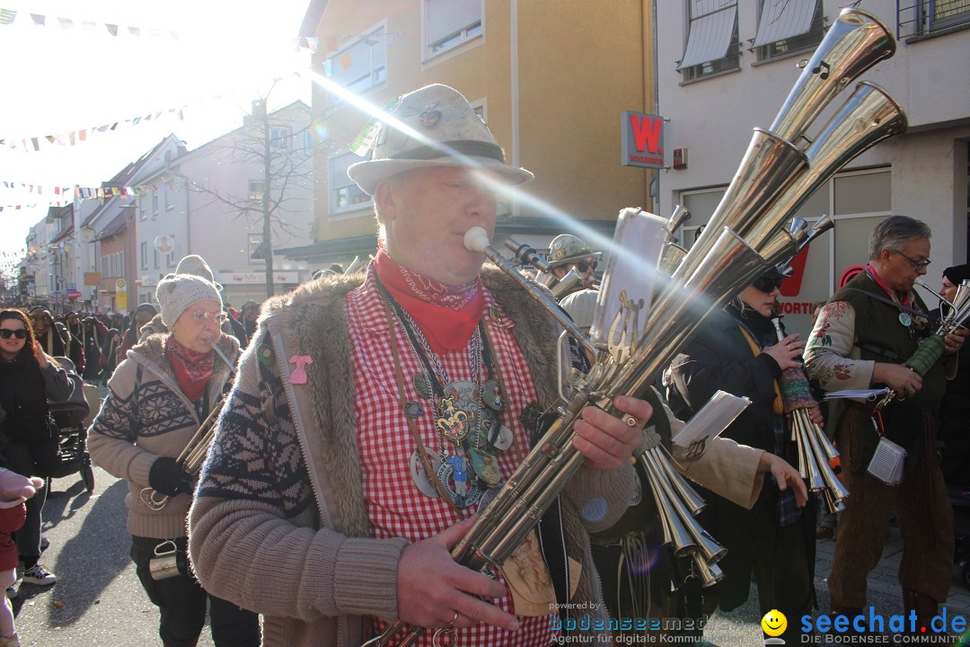 Fasnetsumzug: Tettnang am Bodensee, 13.02.2024