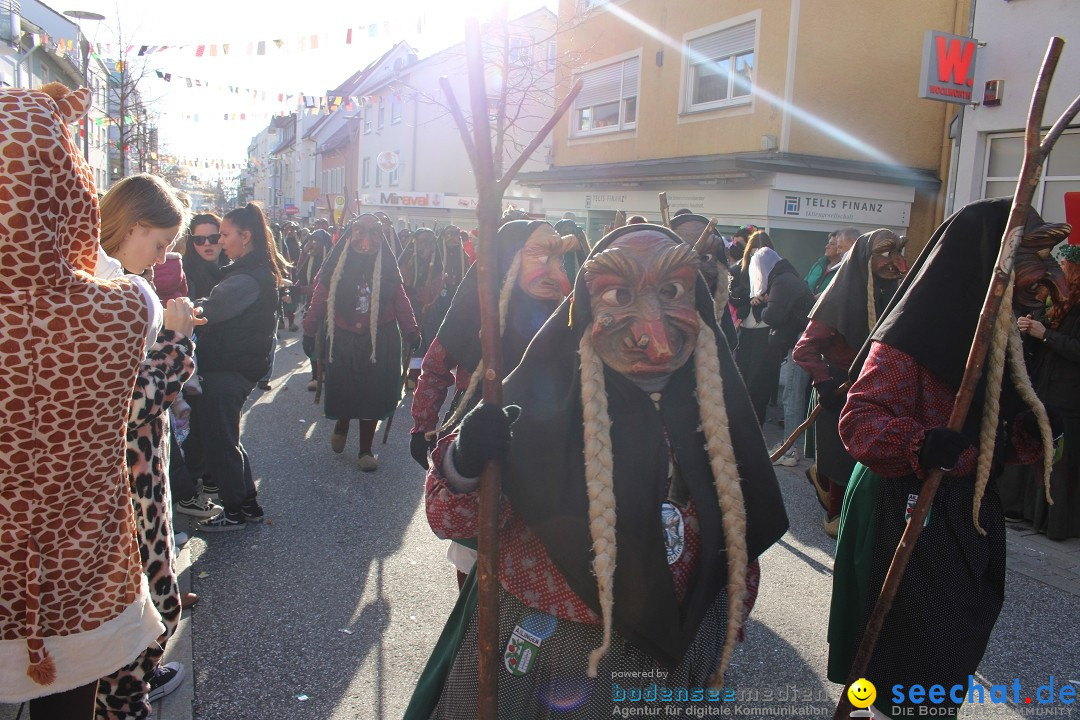 Fasnetsumzug: Tettnang am Bodensee, 13.02.2024