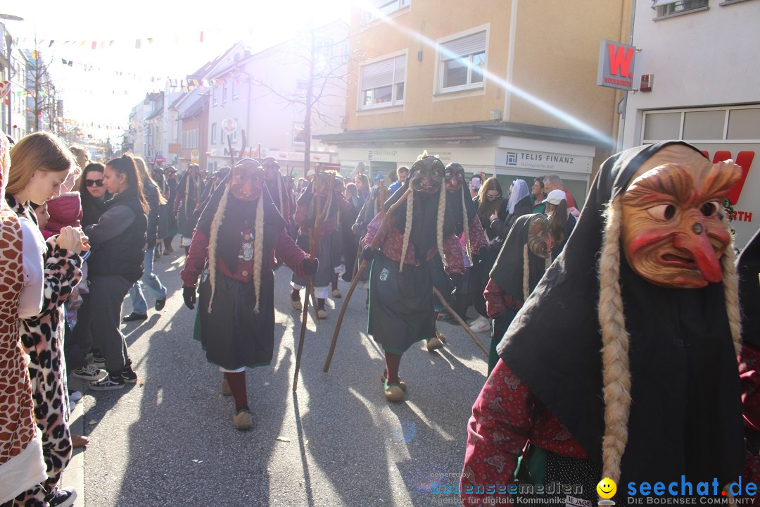 Fasnetsumzug: Tettnang am Bodensee, 13.02.2024