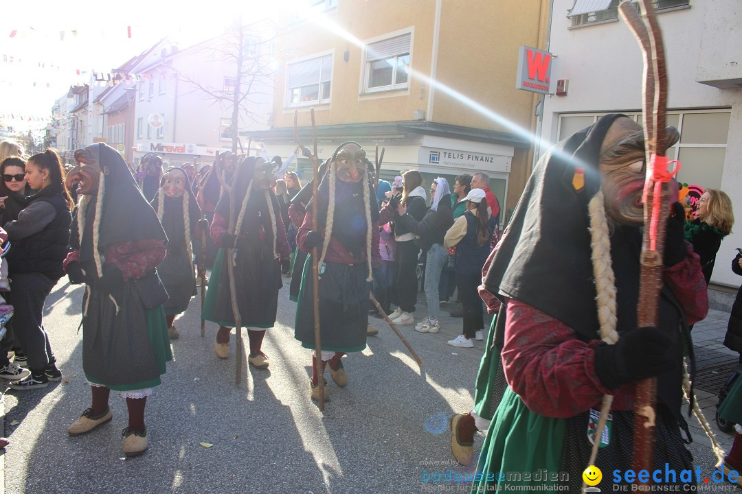 Fasnetsumzug: Tettnang am Bodensee, 13.02.2024