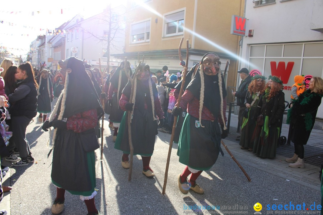 Fasnetsumzug: Tettnang am Bodensee, 13.02.2024