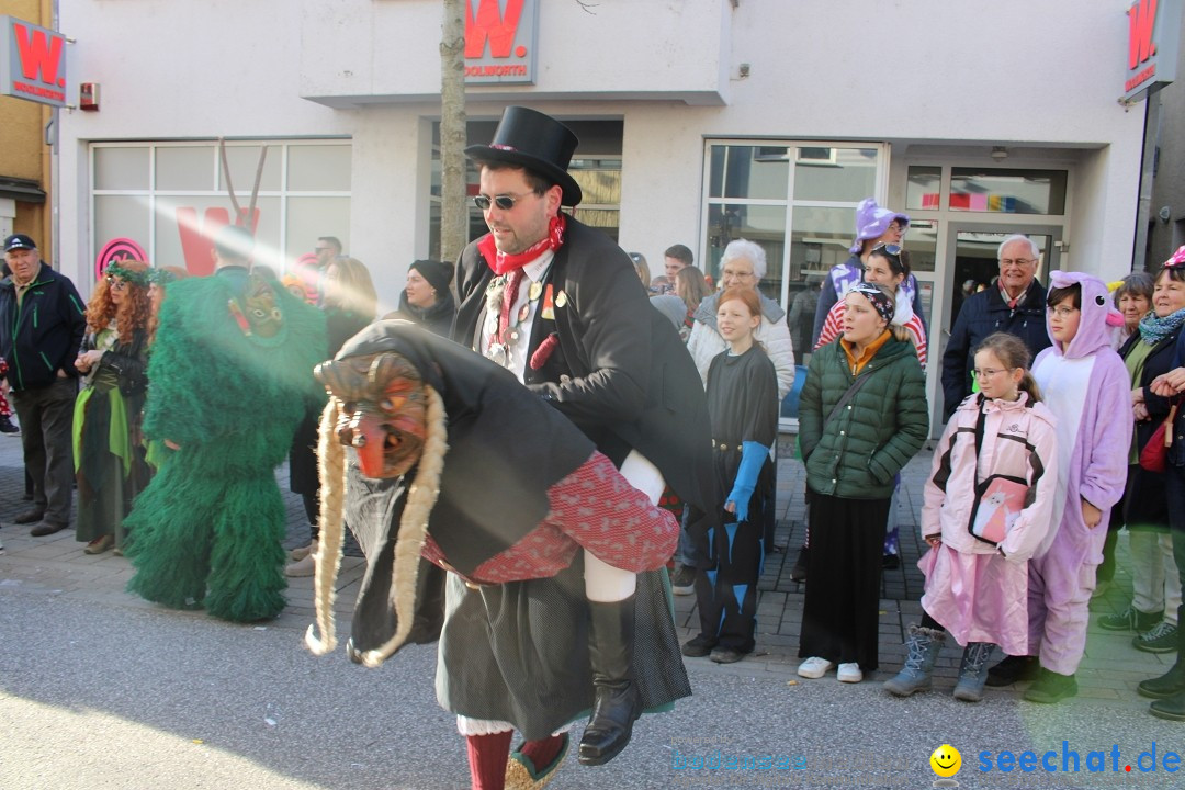 Fasnetsumzug: Tettnang am Bodensee, 13.02.2024