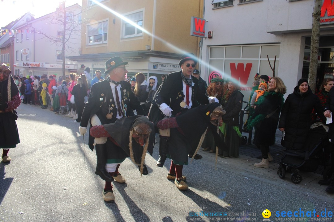 Fasnetsumzug: Tettnang am Bodensee, 13.02.2024