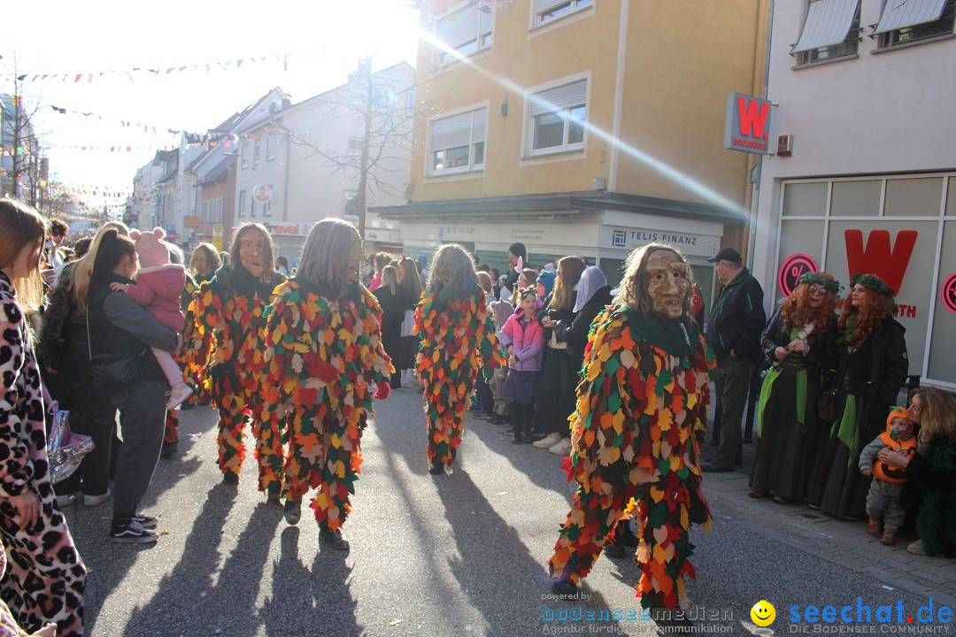 Fasnetsumzug: Tettnang am Bodensee, 13.02.2024