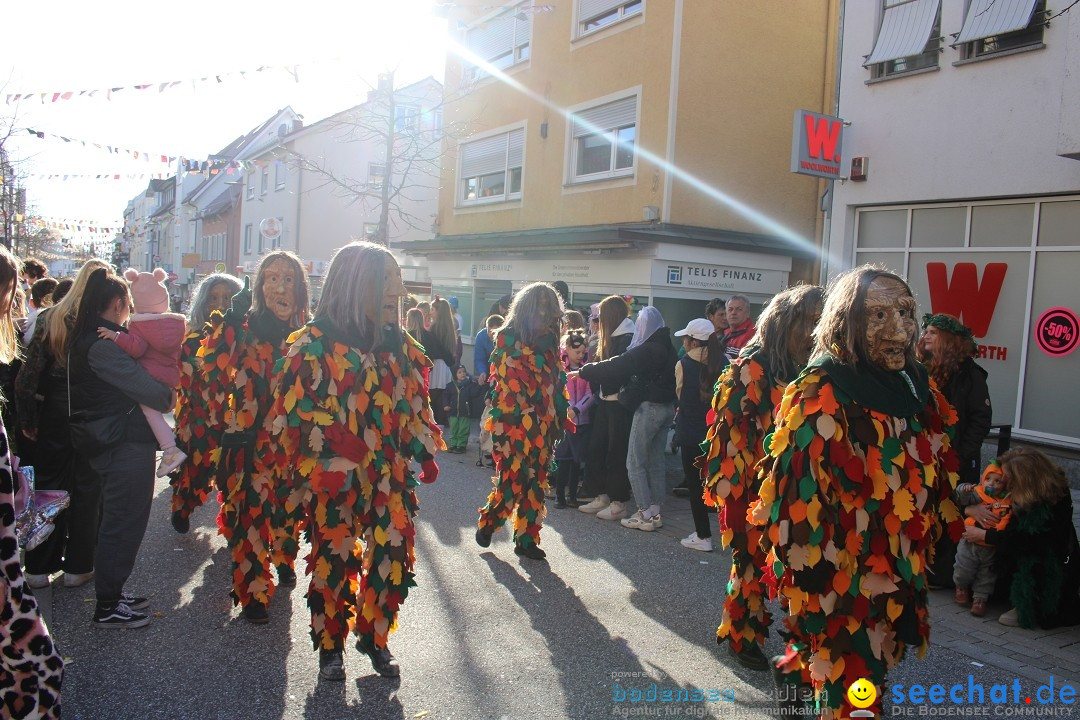 Fasnetsumzug: Tettnang am Bodensee, 13.02.2024