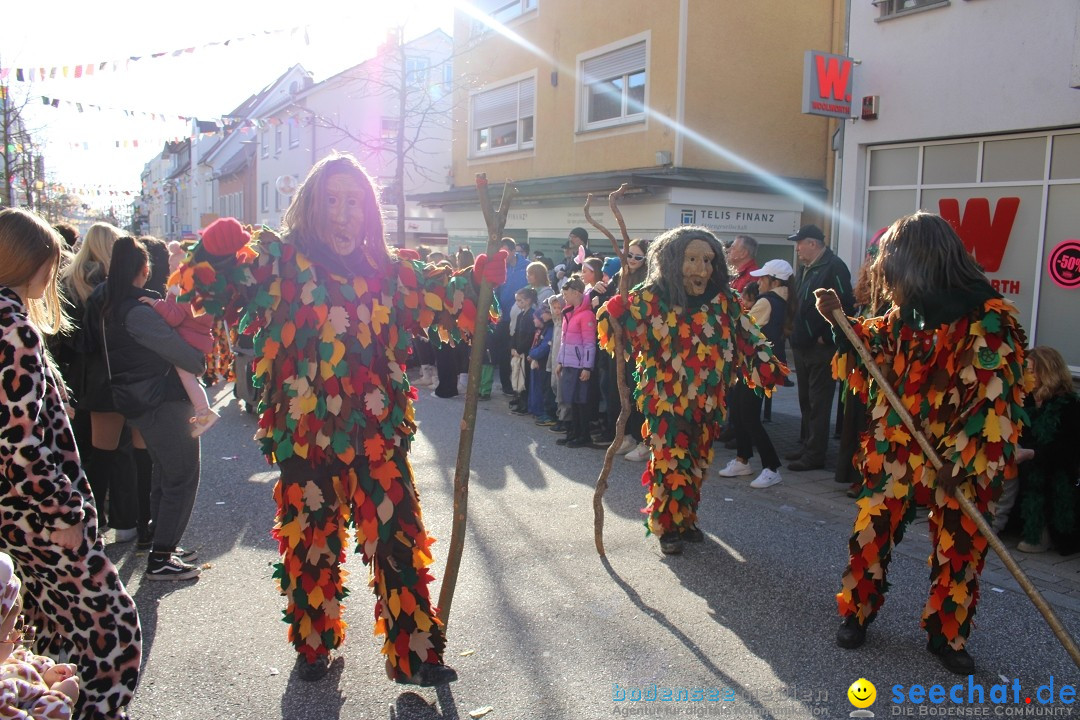 Fasnetsumzug: Tettnang am Bodensee, 13.02.2024