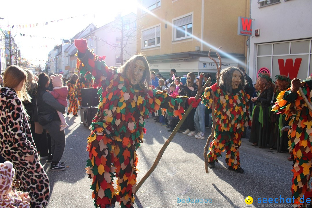 Fasnetsumzug: Tettnang am Bodensee, 13.02.2024